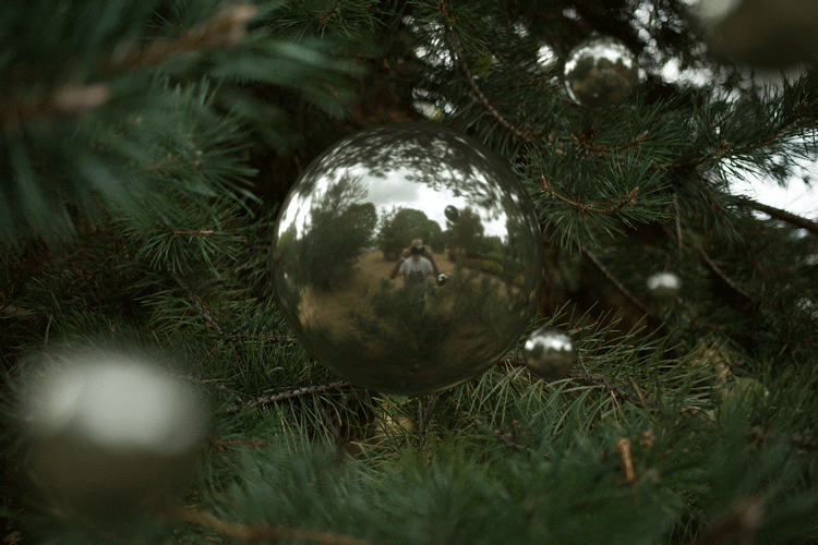 found on the internet: hateplow