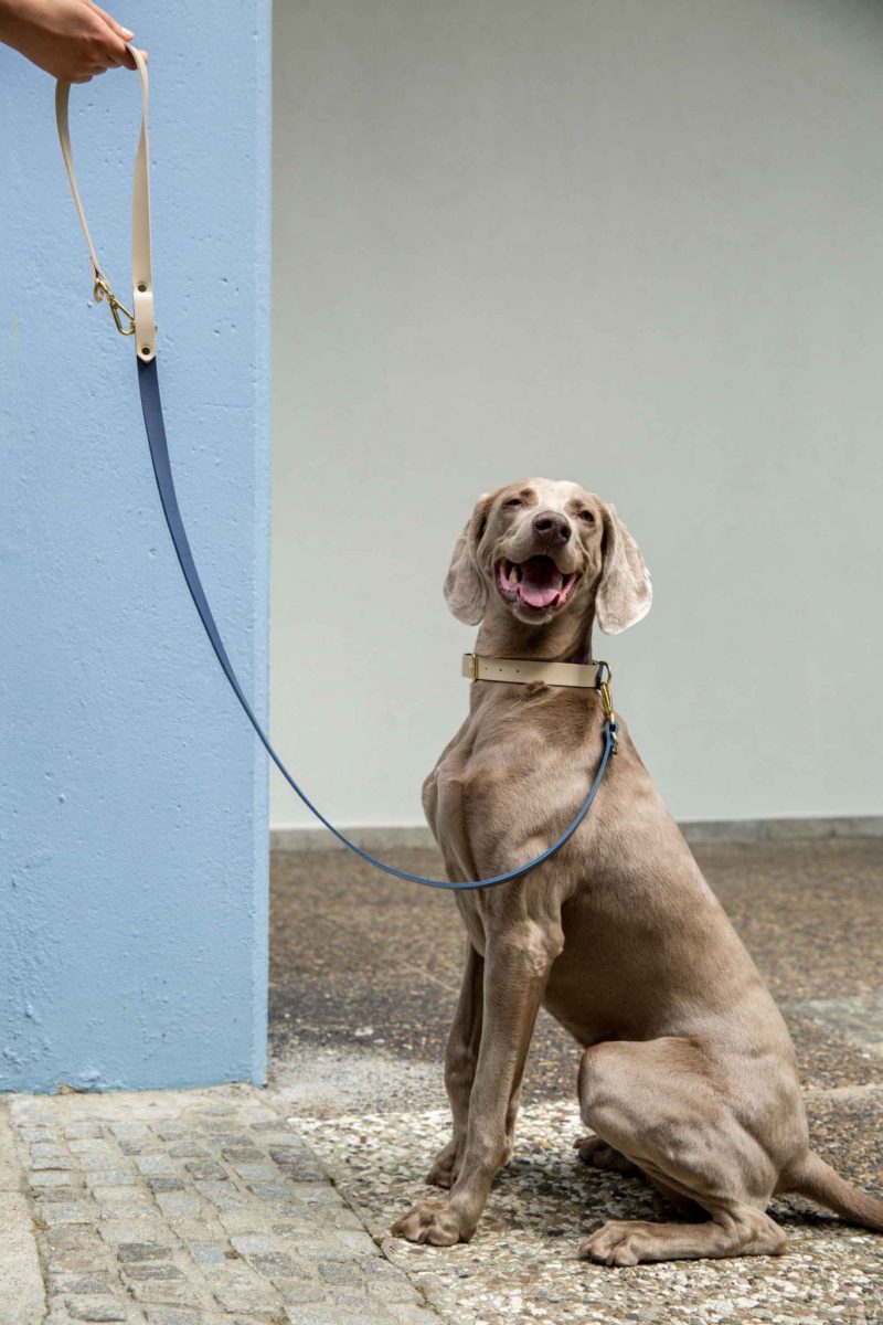 One To Watch Von Hund