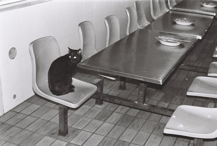 6480396525_6254323028_b_mini-720x486