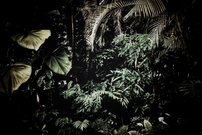 tumblr_n6yjzzgsqK1tdokspo1_1280