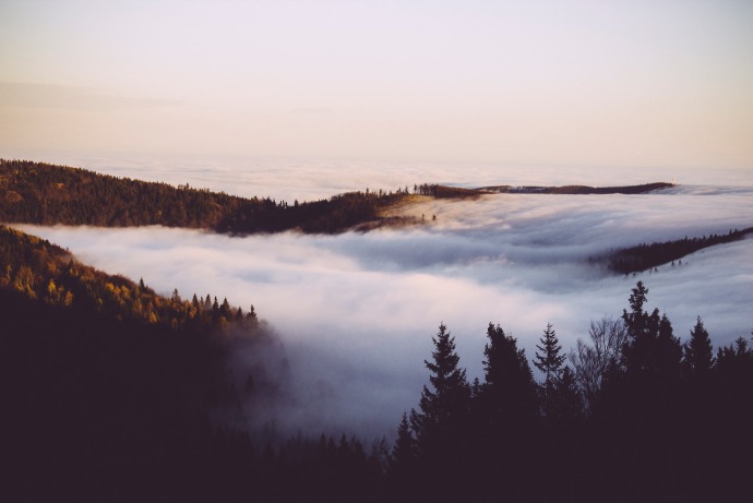 tumblr_nekbj1tIPf1tdokspo1_1280