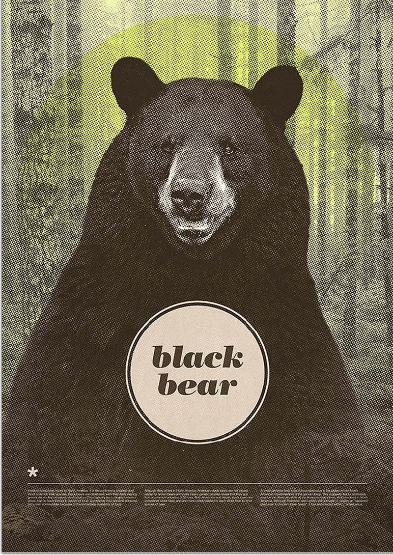 Black-Bear-Chase-Kunz-Alu-Dibond-31