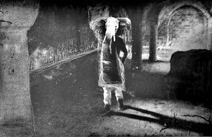 J'adore le coup des fourmis - 2012