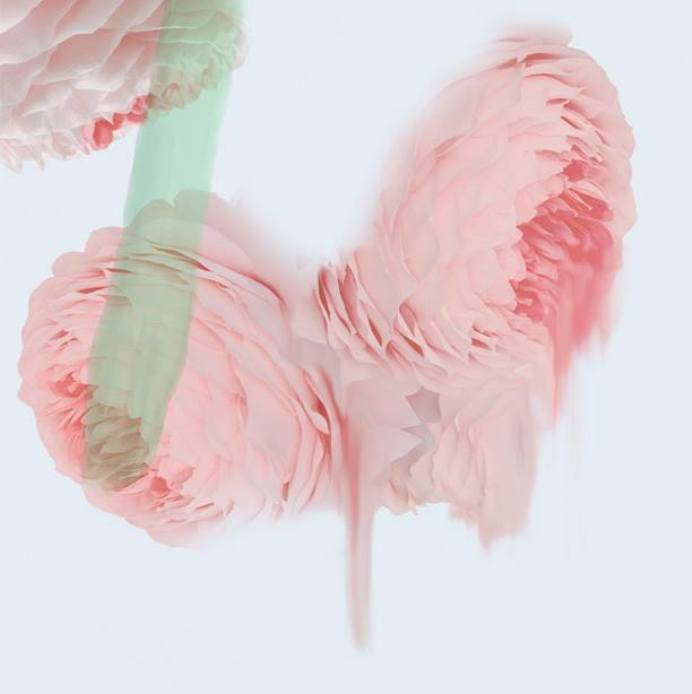 10003457_813381992074468_6524486742889060708_n