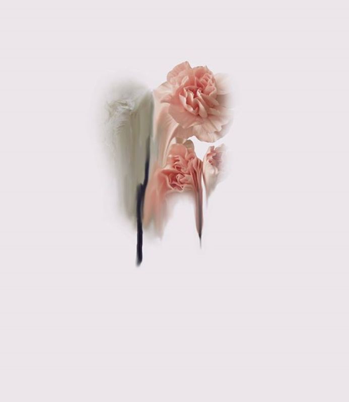 1011295_495897707156233_1504212993_n