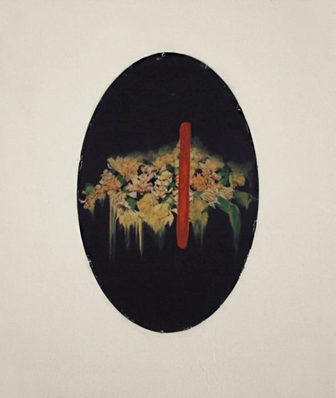 1903980_610861345659868_866304730_n