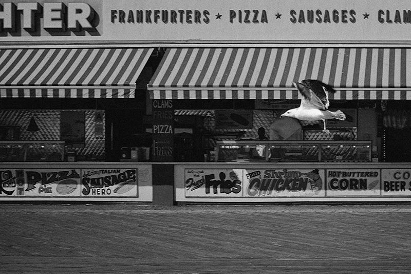 (9) VINCENT BINANT - OLGA VOROSILOVA - CONEY ISLAND - NEW YORK_DSC7761_mini