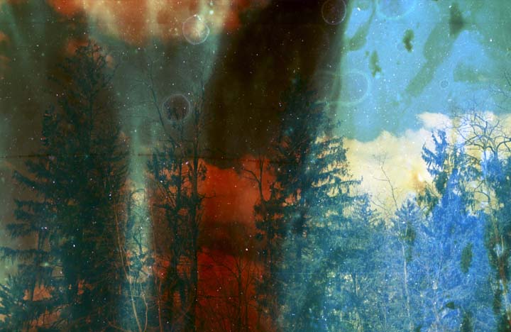 Brandon-Seidler-PollutedFilm1