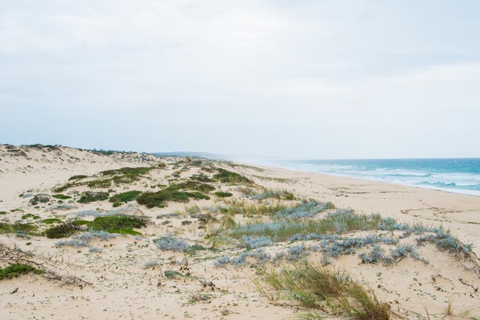 portugal_2014_kaltblut_pasarella.eu_04