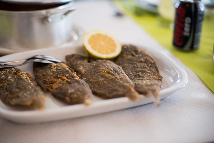 portugal_2014_kaltblut_pasarella.eu_07