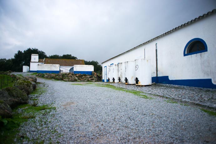 portugal_2014_kaltblut_pasarella.eu_14