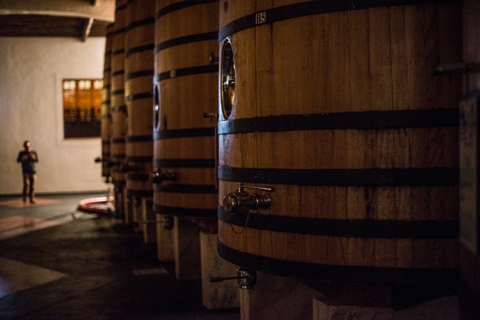 portugal_2014_kaltblut_pasarella.eu_62