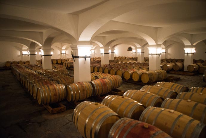 portugal_2014_kaltblut_pasarella.eu_65