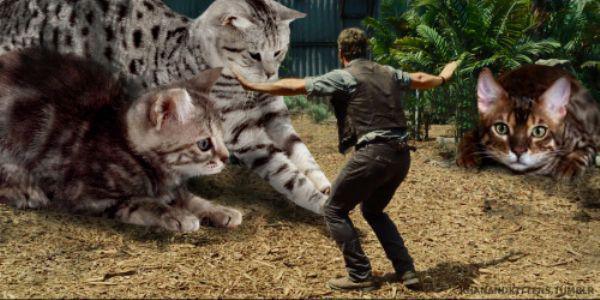 someone-replaced-all-of-the-dinosaurs-in-jurassic-park-with-cats-21-photos-17
