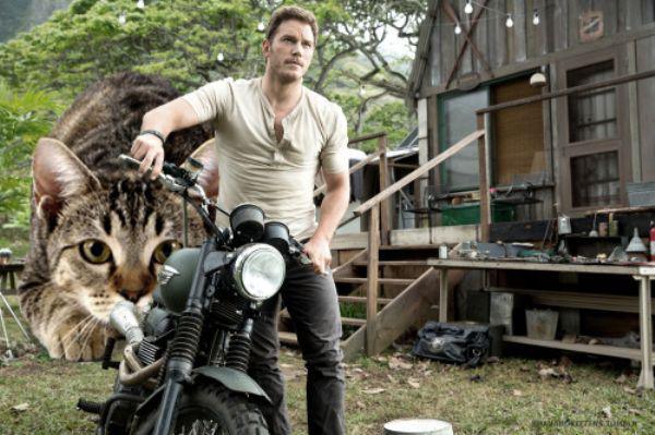 someone-replaced-all-of-the-dinosaurs-in-jurassic-park-with-cats-21-photos-19