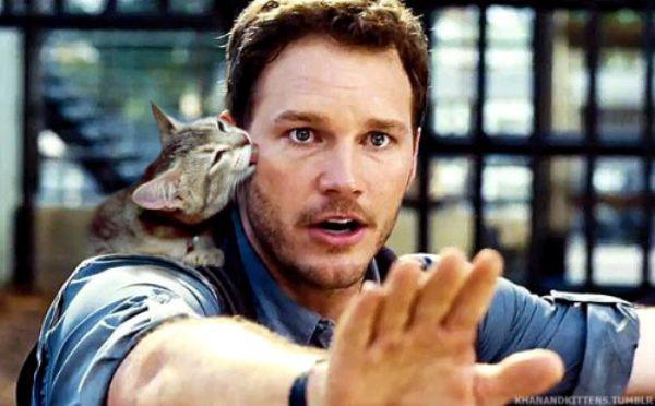 someone-replaced-all-of-the-dinosaurs-in-jurassic-park-with-cats-21-photos-20