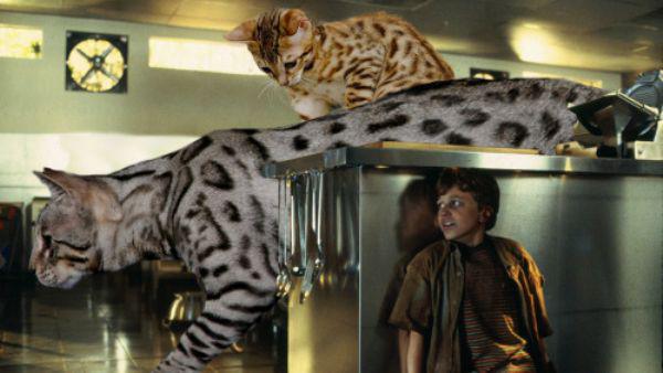 someone-replaced-all-of-the-dinosaurs-in-jurassic-park-with-cats-21-photos-6