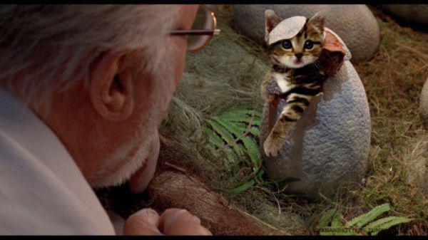 someone-replaced-all-of-the-dinosaurs-in-jurassic-park-with-cats-21-photos-9