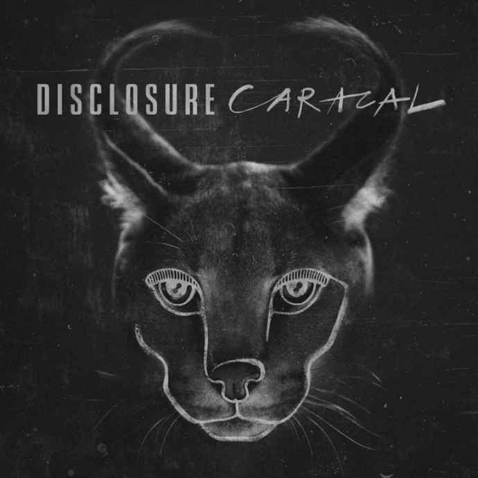 disclosure-caracal