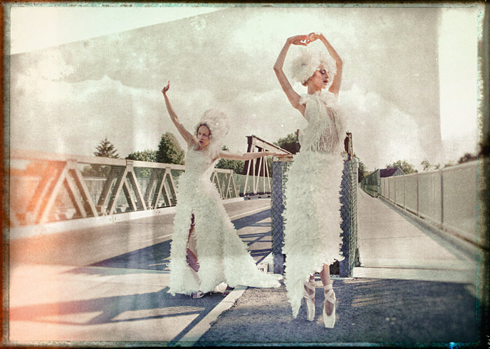 003_Swan_vintage_mini