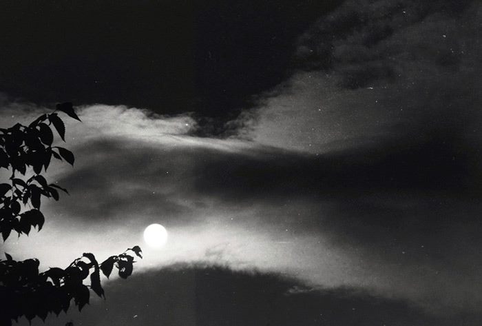 11872890_10153948553741531_1535421901_n