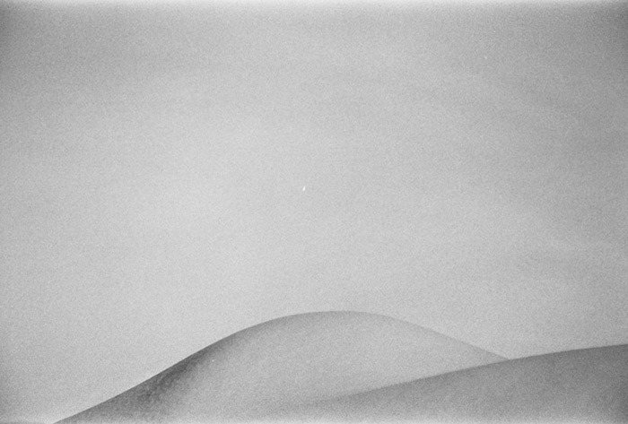 11874159_10153948553751531_395021741_n