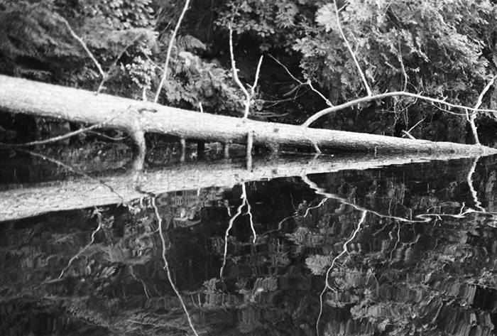 11903305_10153948553821531_1346119439_n