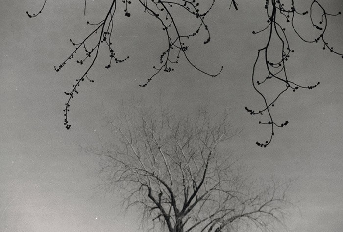 11911484_10153948553756531_1944457425_n