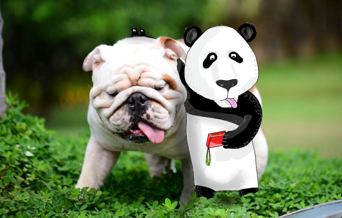 2015-07-25-183344__700