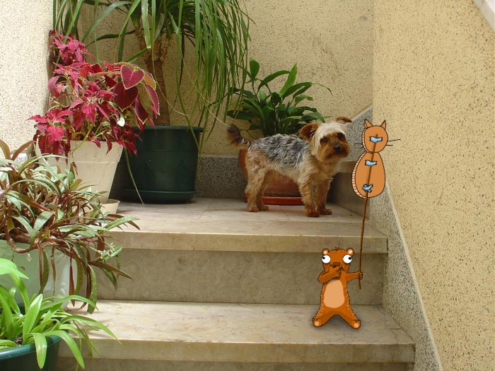 I-added-Doodles-to-peoples-instagram-photos-3__700 copy