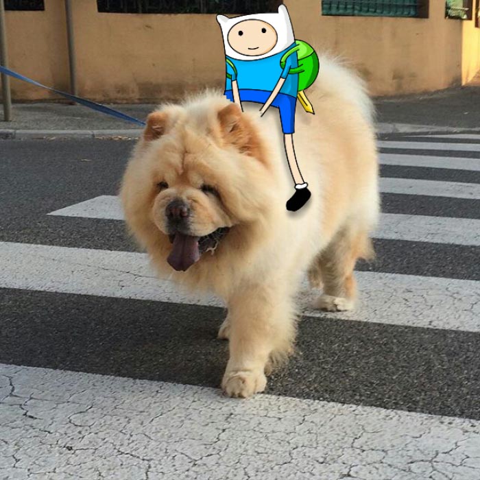 I-added-Doodles-to-peoples-instagram-photos-4__700