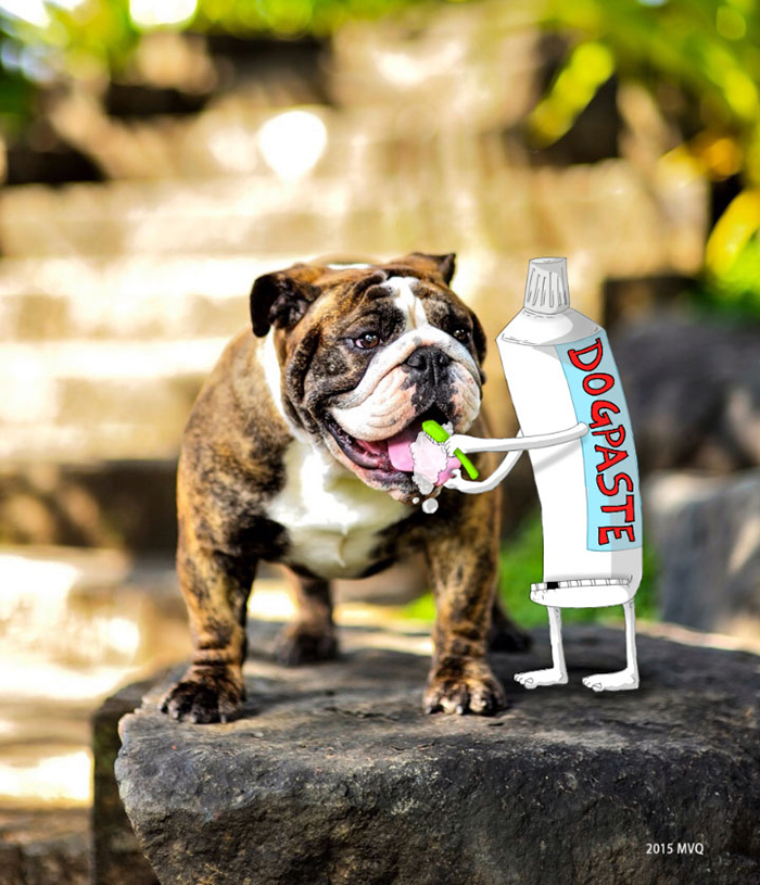 I-added-Doodles-to-peoples-instagram-photos-Part-2__700