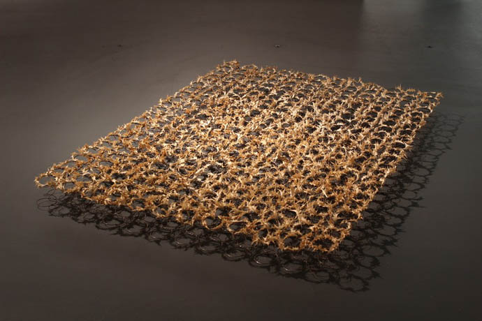 NoOneHarmsMeUnpunished_2013_ThistlesSteelBrass_192x136x25