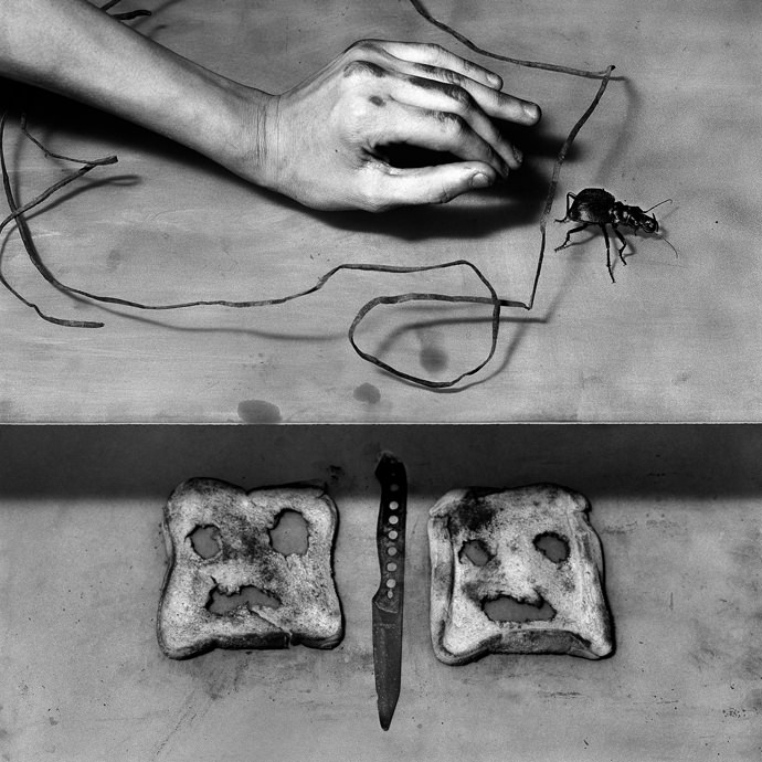 Roger-Ballen_Culprit-2006_mini