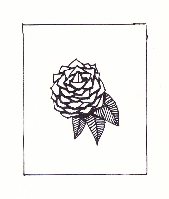 Rose_LaurenRaaijmakers