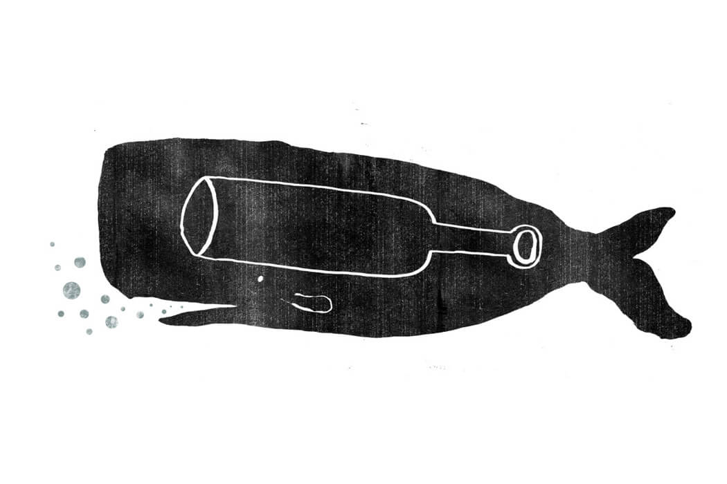 start_bild_Tiago_Header