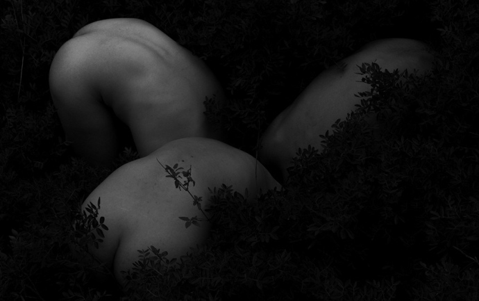 Blossom-of-Solitude- (1)