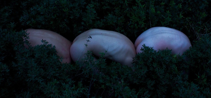 Blossom-of-Solitude- (3)