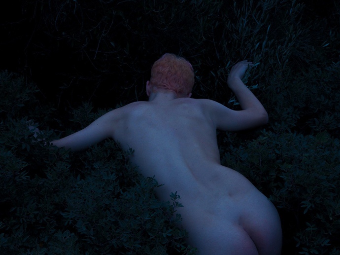 Blossom-of-Solitude- (5)