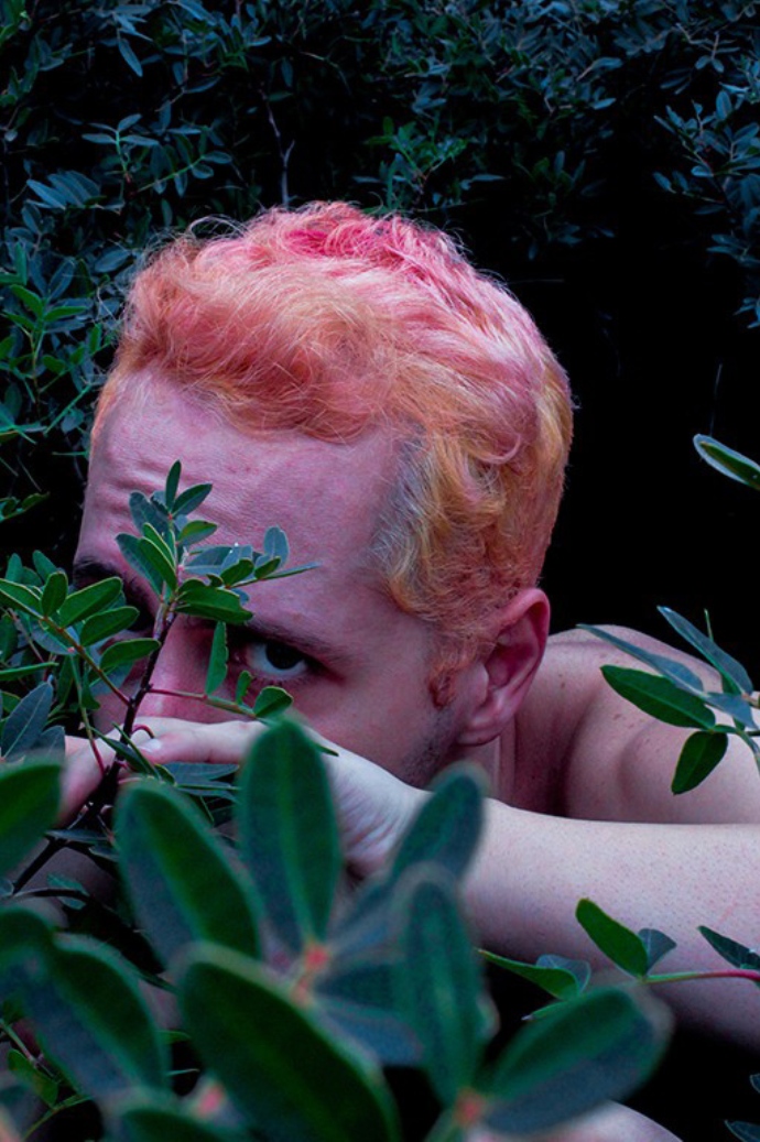 Blossom-of-Solitude- (6)