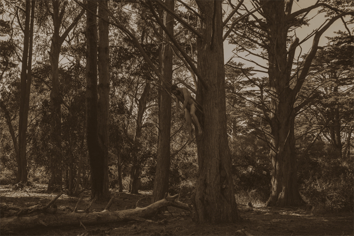 Screen Shot 2016-04-22 at 12.15.28