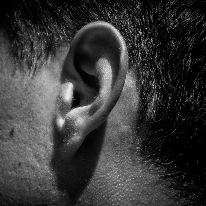 non vedrò per sempre (15)