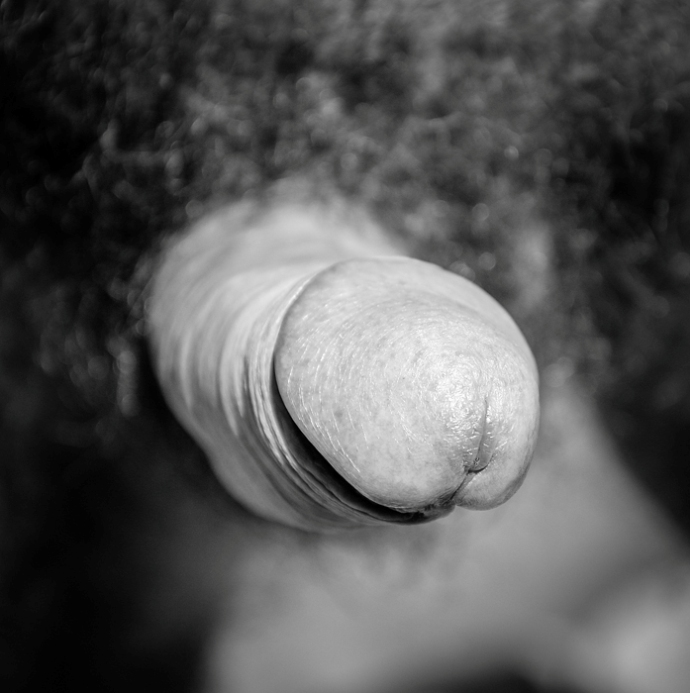 non vedrò per sempre (16)