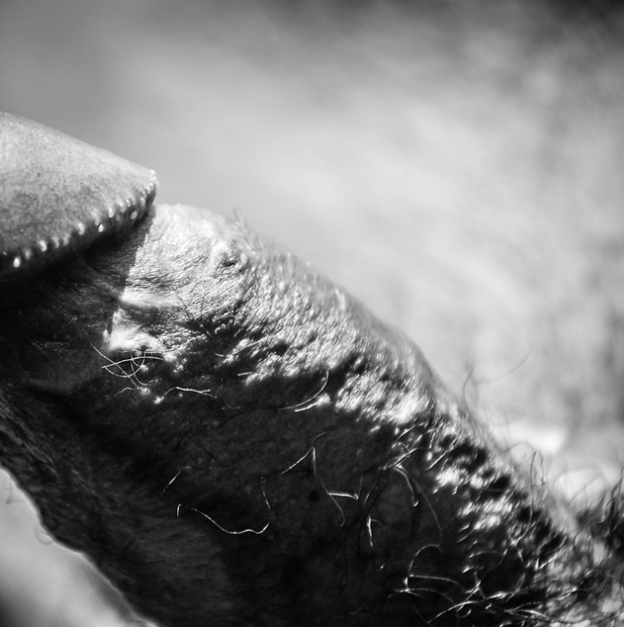 non vedrò per sempre (18)