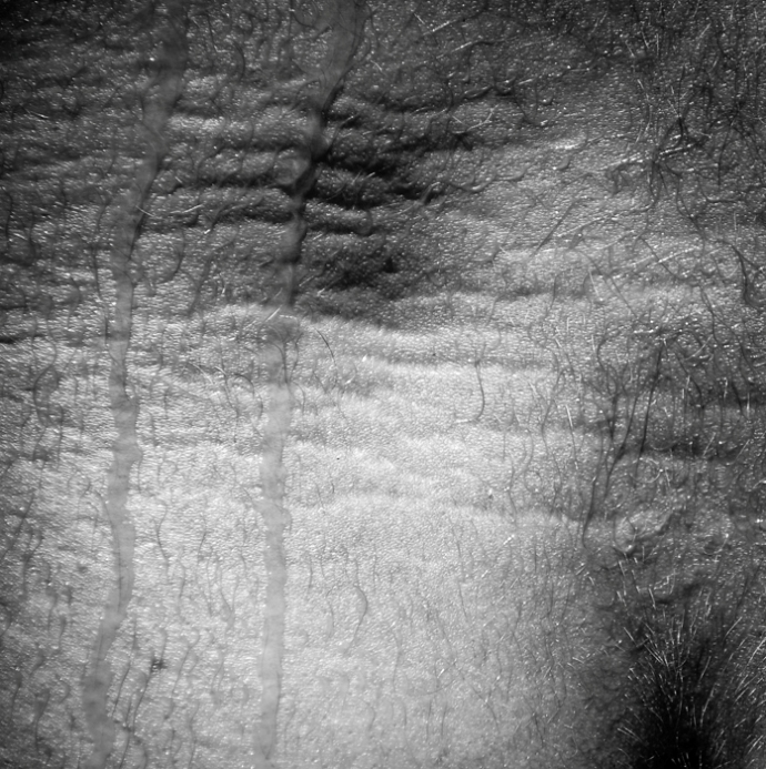 non vedrò per sempre (6)