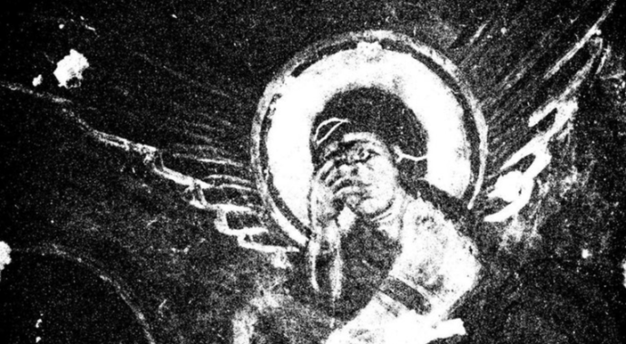 Oiseaux Tempete Image 2