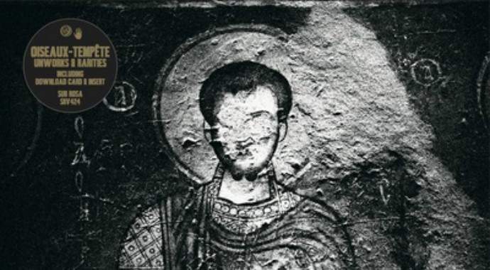 Oiseaux Tempete Image 3