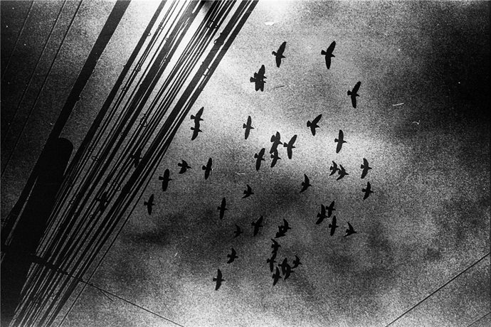 Tim_Gao_Photography_Invisible_Theatre_26_mini