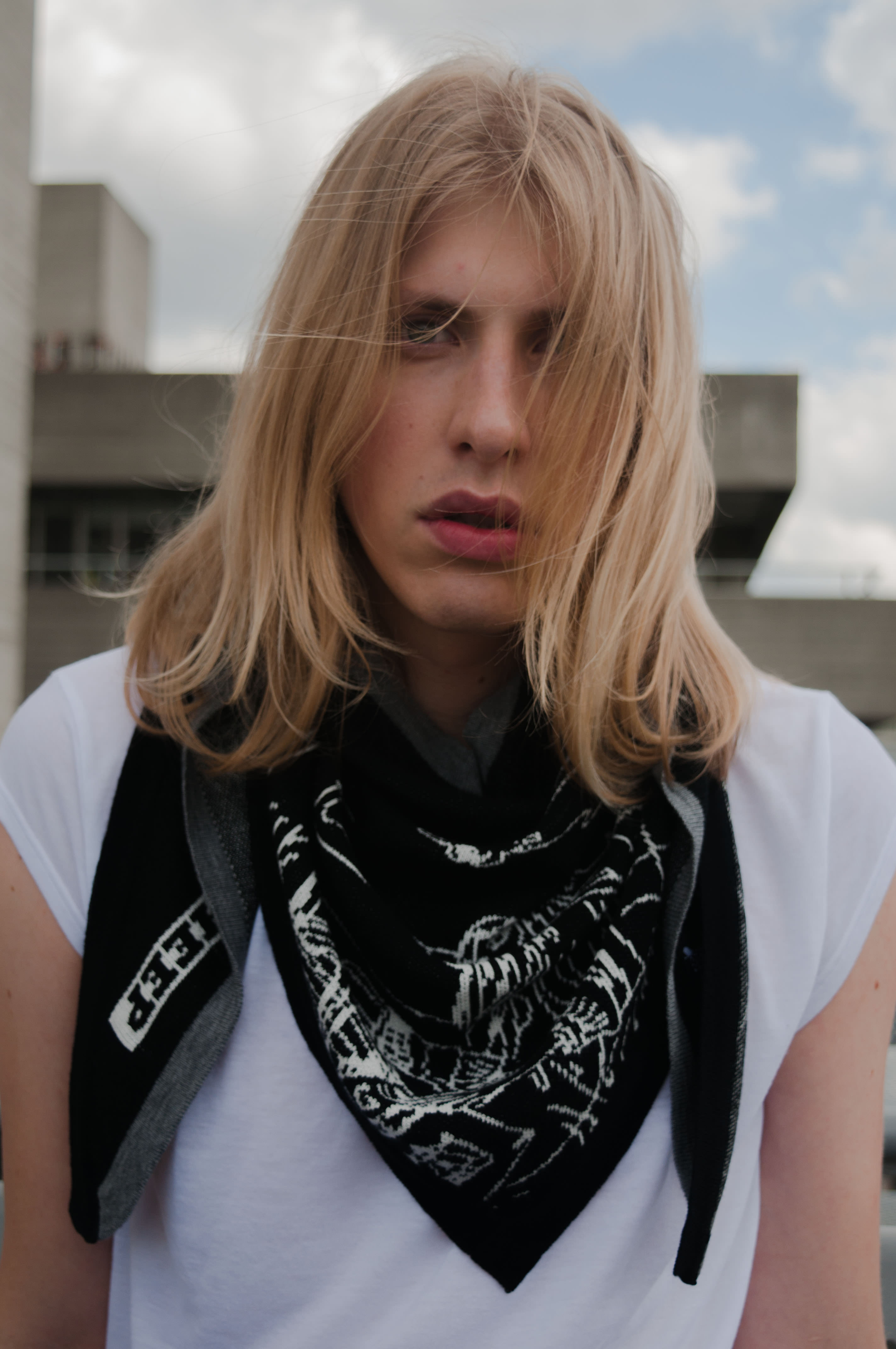 Lyonard for Electronic Sheep by Ashton Elli-5_mini