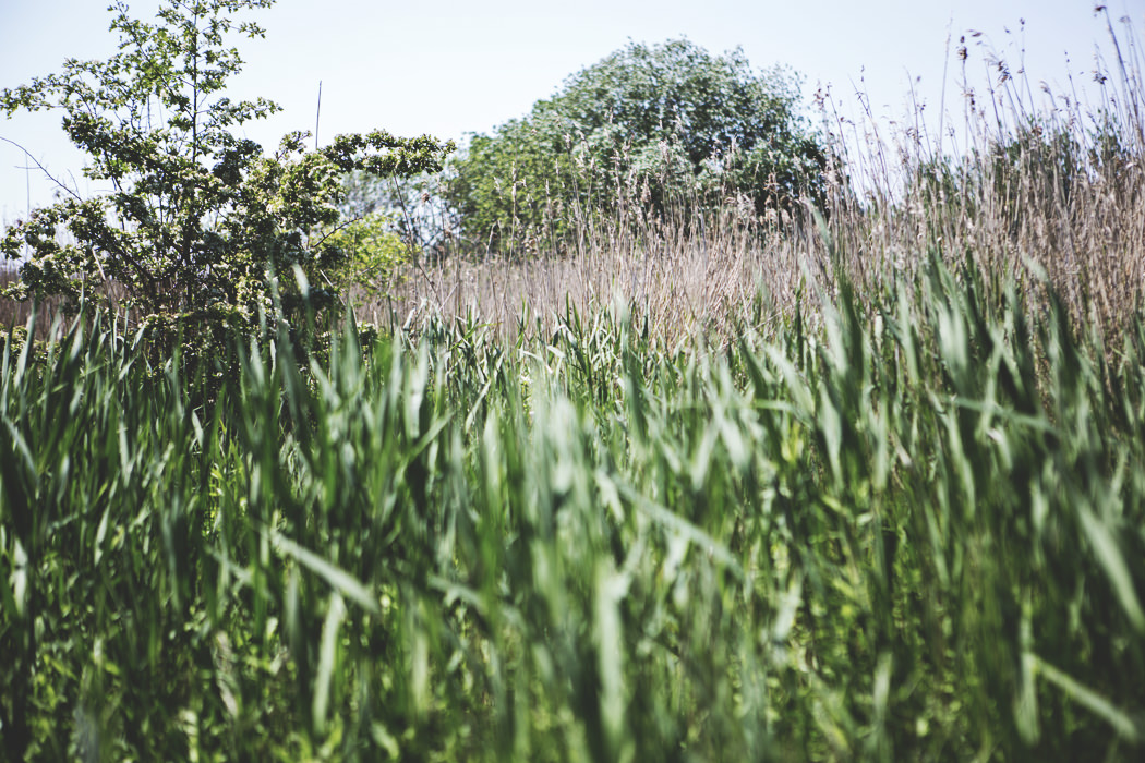 Submission_Jesper_Drejer_10_mini